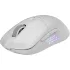 MSI VERSA 300 ELITE Wireless VR300EW - беспроводная игровая мышь (МСИ) MSI VERSA 300 ELITE Wireless VR300EW - беспроводная игровая мышь (МСИ)